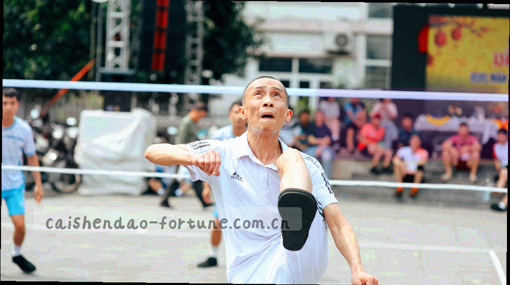 红色印章与卷轴线条组成的网站声明主题图